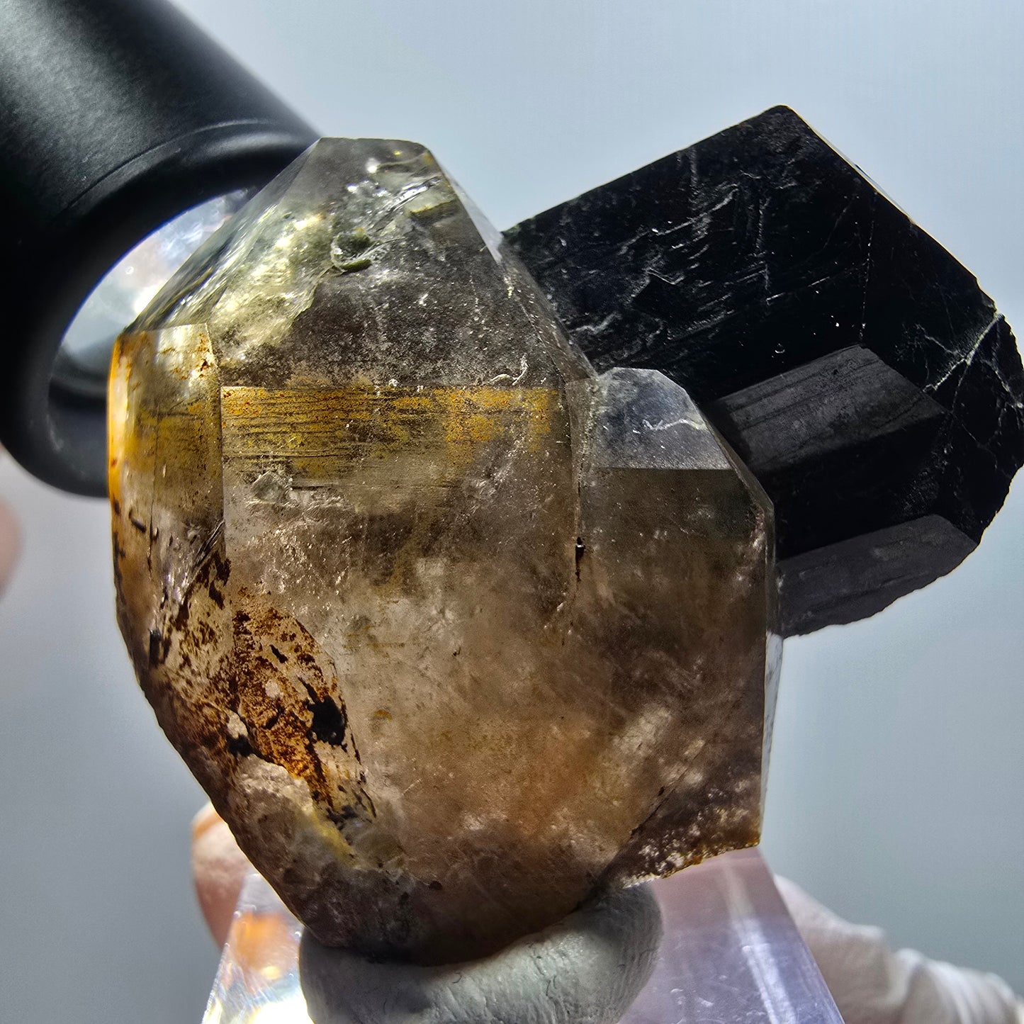 Rare phantom smoky quartz, schorl tourmaline specimen Erongo, Namibia 48*41*19mm 