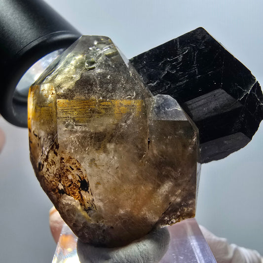 Seltene Phantomen Rauchquarz, Schörl Turmalin Stufe Erongo, Namibia 48*41*19mm