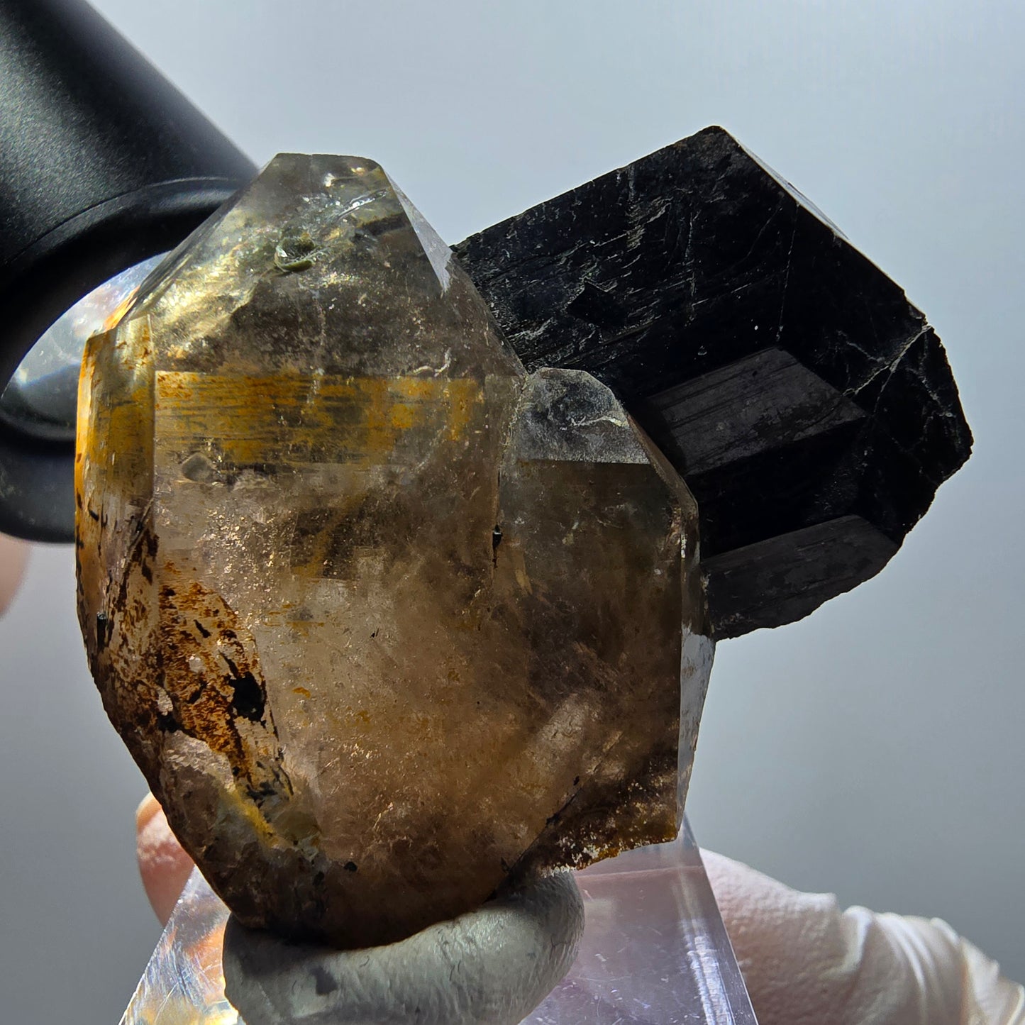 Rare phantom smoky quartz, schorl tourmaline specimen Erongo, Namibia 48*41*19mm 