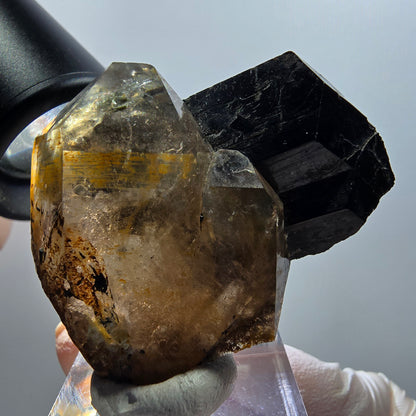 Rare phantom smoky quartz, schorl tourmaline specimen Erongo, Namibia 48*41*19mm 