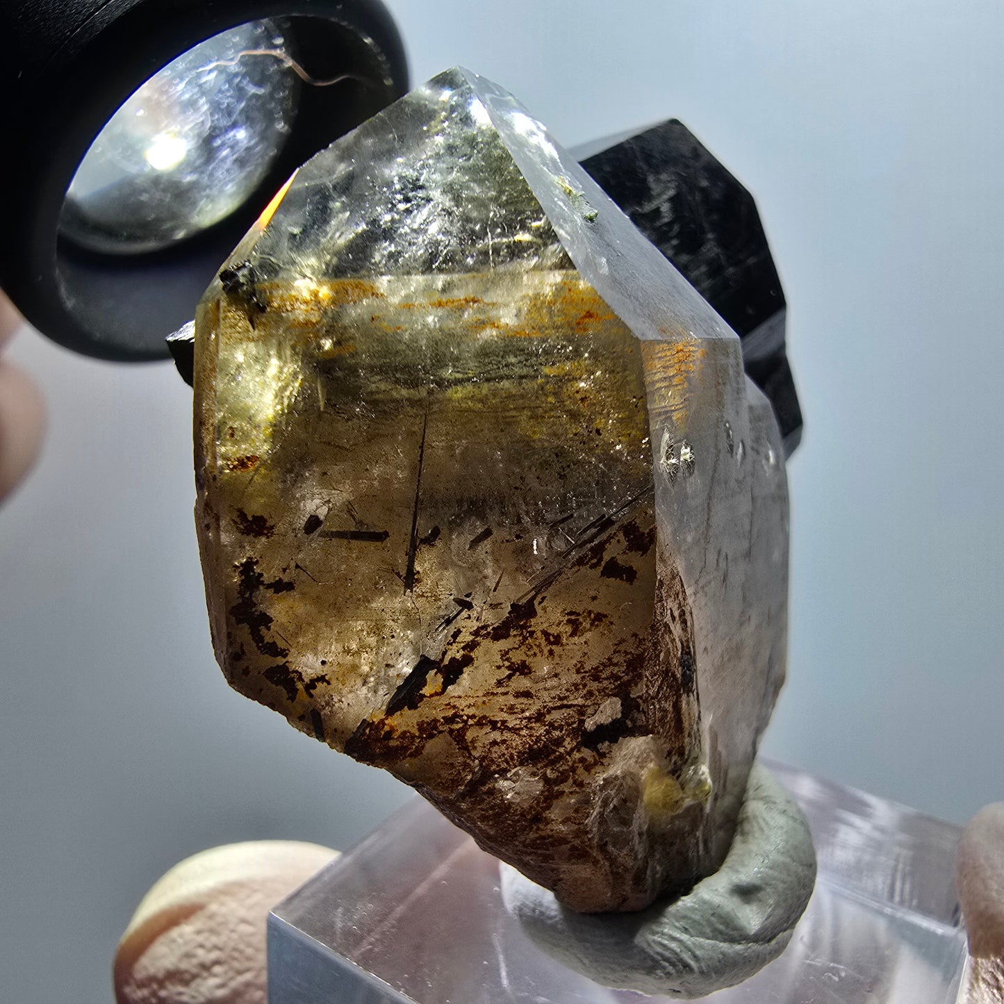Rare phantom smoky quartz, schorl tourmaline specimen Erongo, Namibia 48*41*19mm 