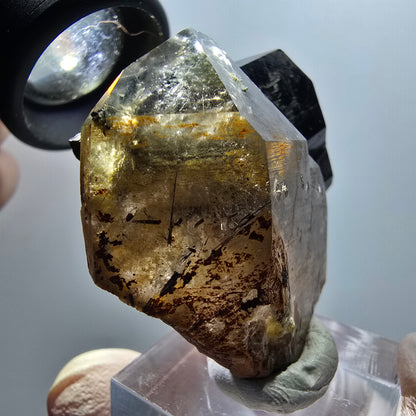 Rare phantom smoky quartz, schorl tourmaline specimen Erongo, Namibia 48*41*19mm 