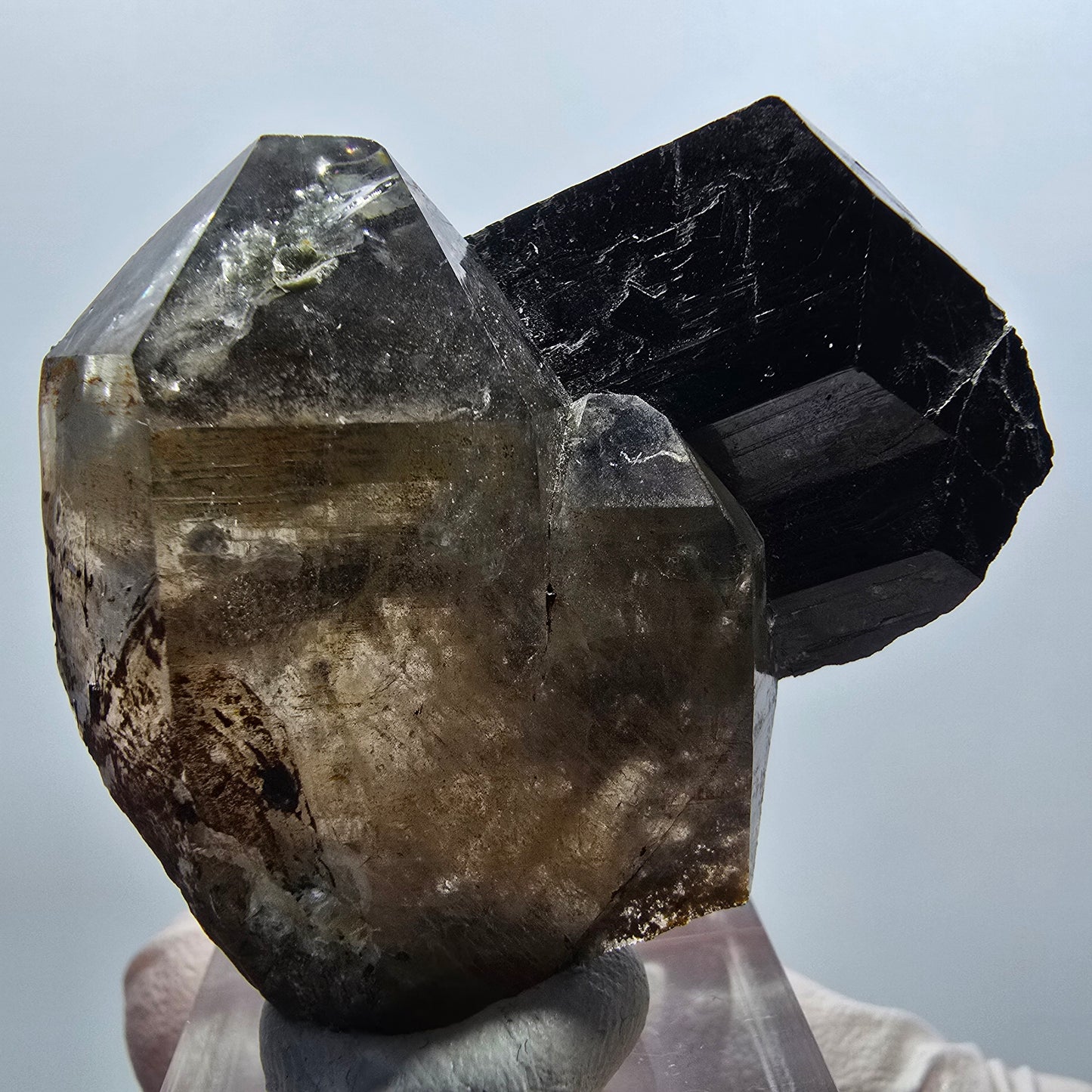 Rare phantom smoky quartz, schorl tourmaline specimen Erongo, Namibia 48*41*19mm 