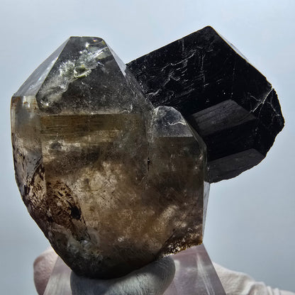 Rare phantom smoky quartz, schorl tourmaline specimen Erongo, Namibia 48*41*19mm 