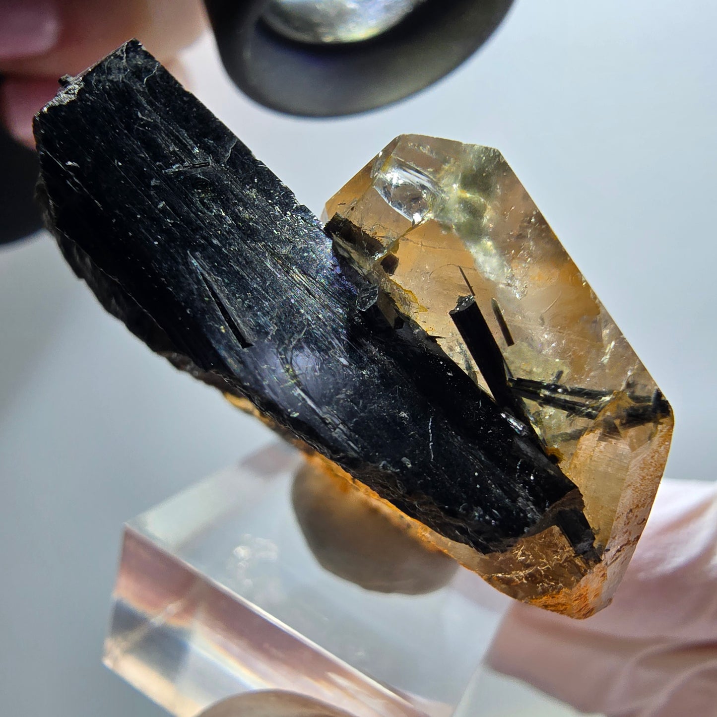 Rare phantom smoky quartz, schorl tourmaline specimen Erongo, Namibia 48*41*19mm 