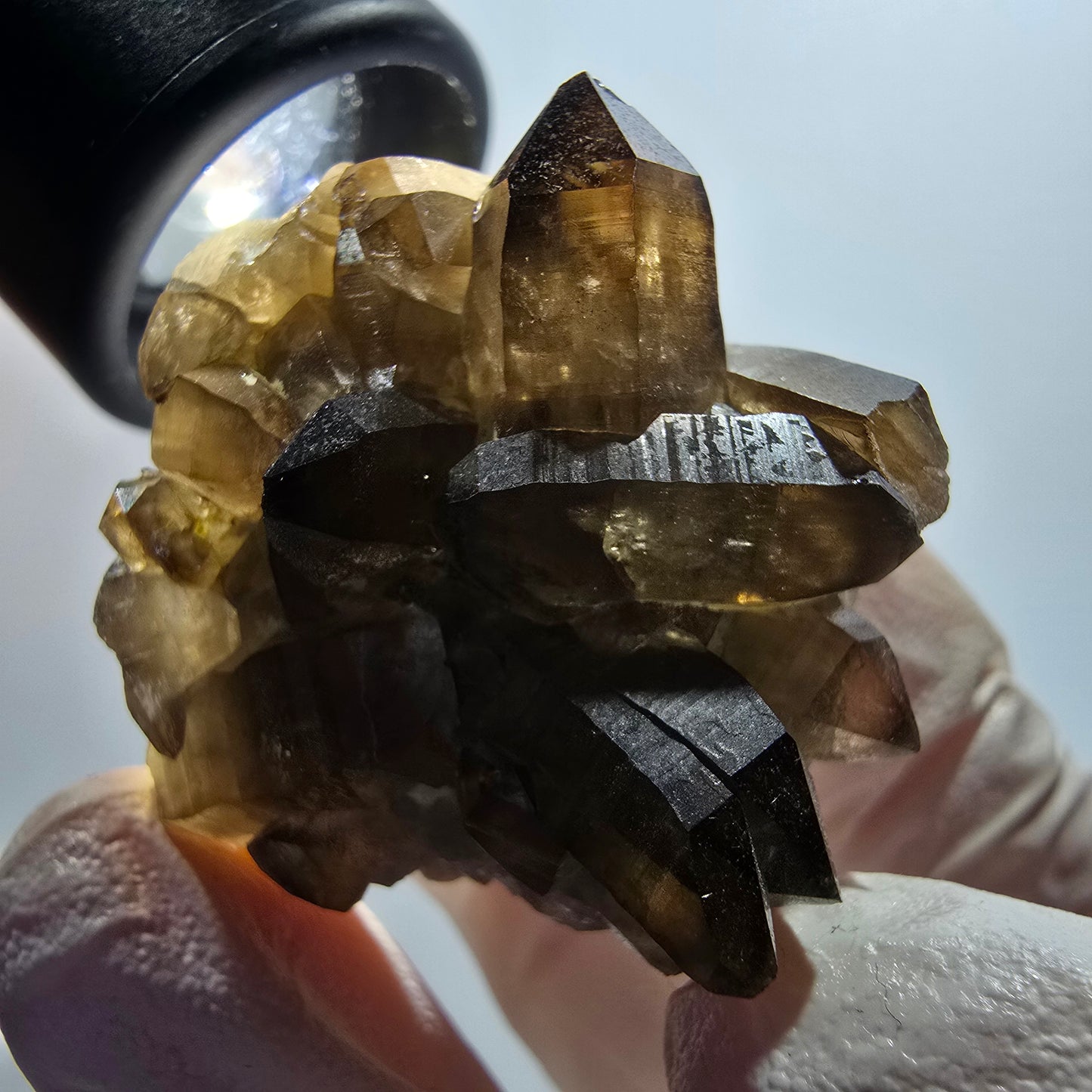 Rare spécimen d'orthose en quartz fumé à squelette fantôme transparent, Erongo, Namibie, 38*36*26 mm 