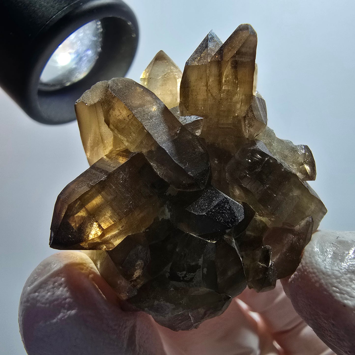 Rare spécimen d'orthose en quartz fumé à squelette fantôme transparent, Erongo, Namibie, 38*36*26 mm 