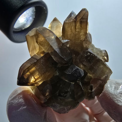 Rare spécimen d'orthose en quartz fumé à squelette fantôme transparent, Erongo, Namibie, 38*36*26 mm 