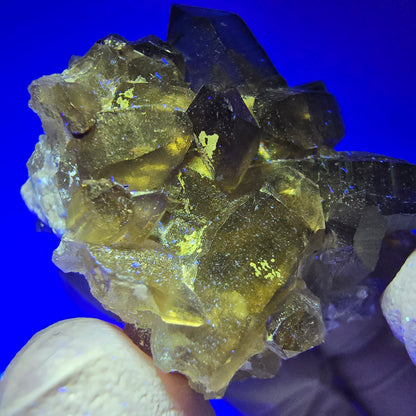 Rare spécimen d'orthose en quartz fumé à squelette fantôme transparent, Erongo, Namibie, 38*36*26 mm 
