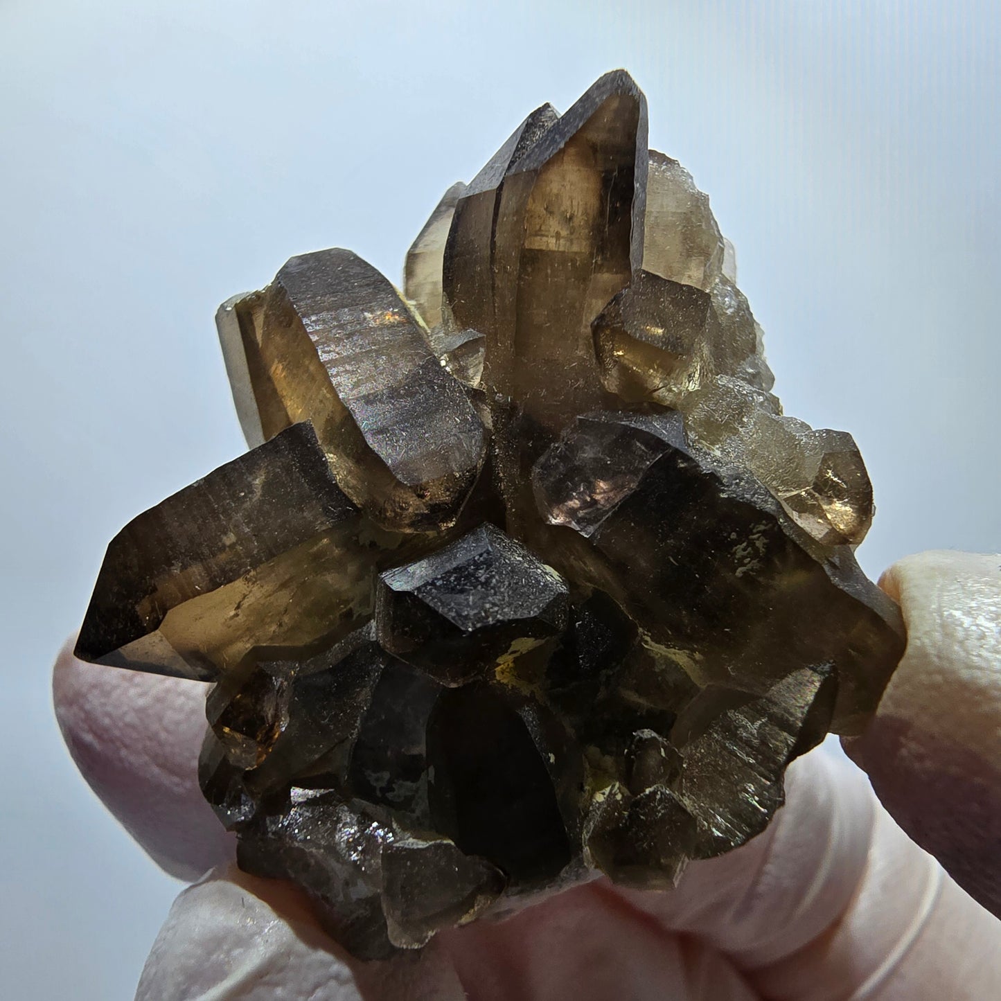 Rare spécimen d'orthose en quartz fumé à squelette fantôme transparent, Erongo, Namibie, 38*36*26 mm 