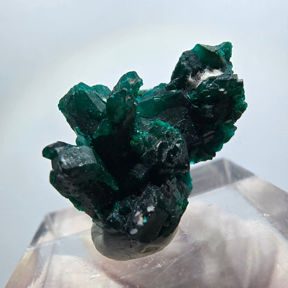 Seltene Dioptas XX Stufe, grün Republik Kongo 22*15*14mm