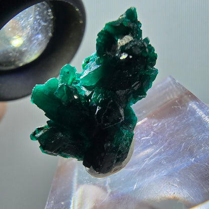 Seltene Dioptas XX Stufe, grün Republik Kongo 22*15*14mm