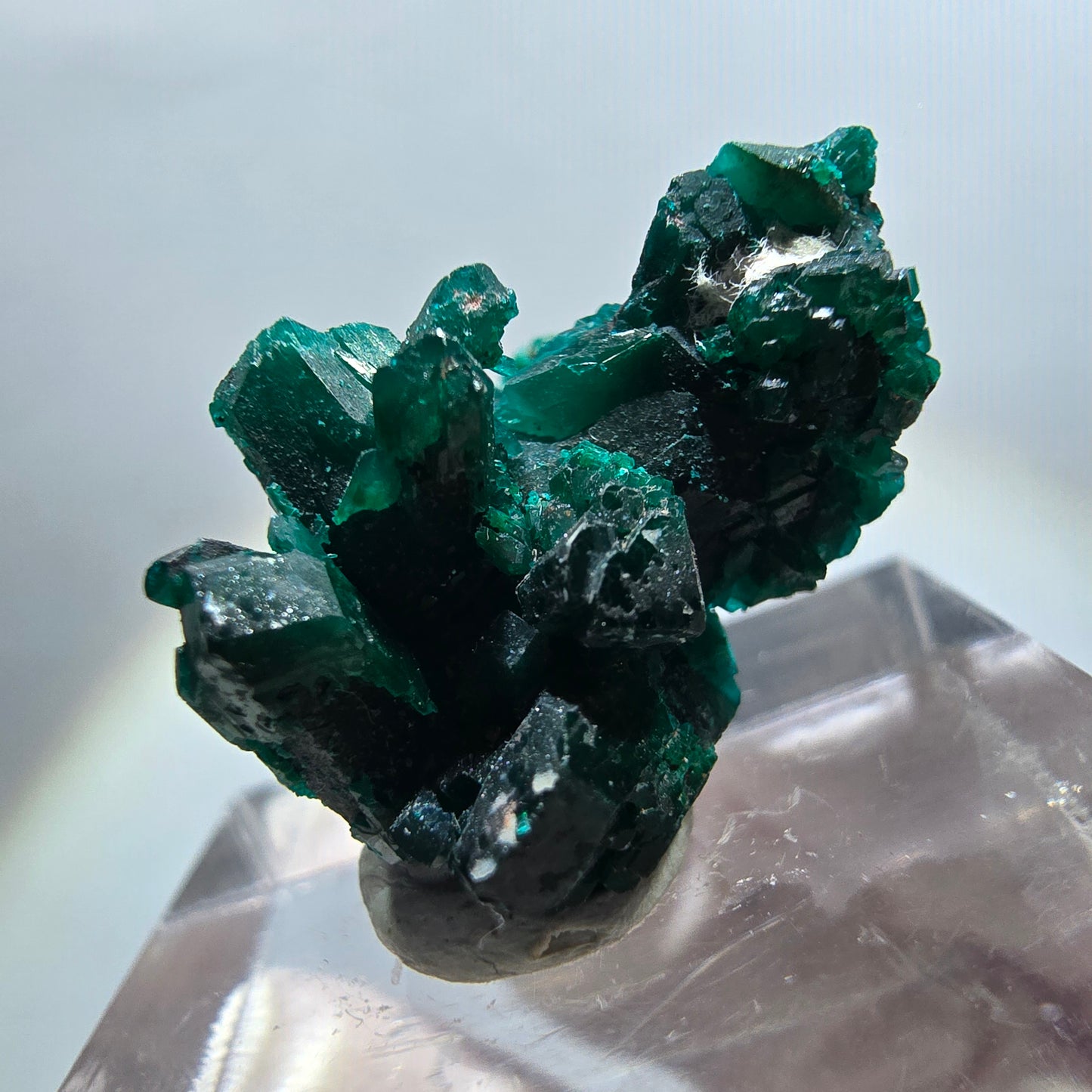 Seltene Dioptas XX Stufe, grün Republik Kongo 22*15*14mm