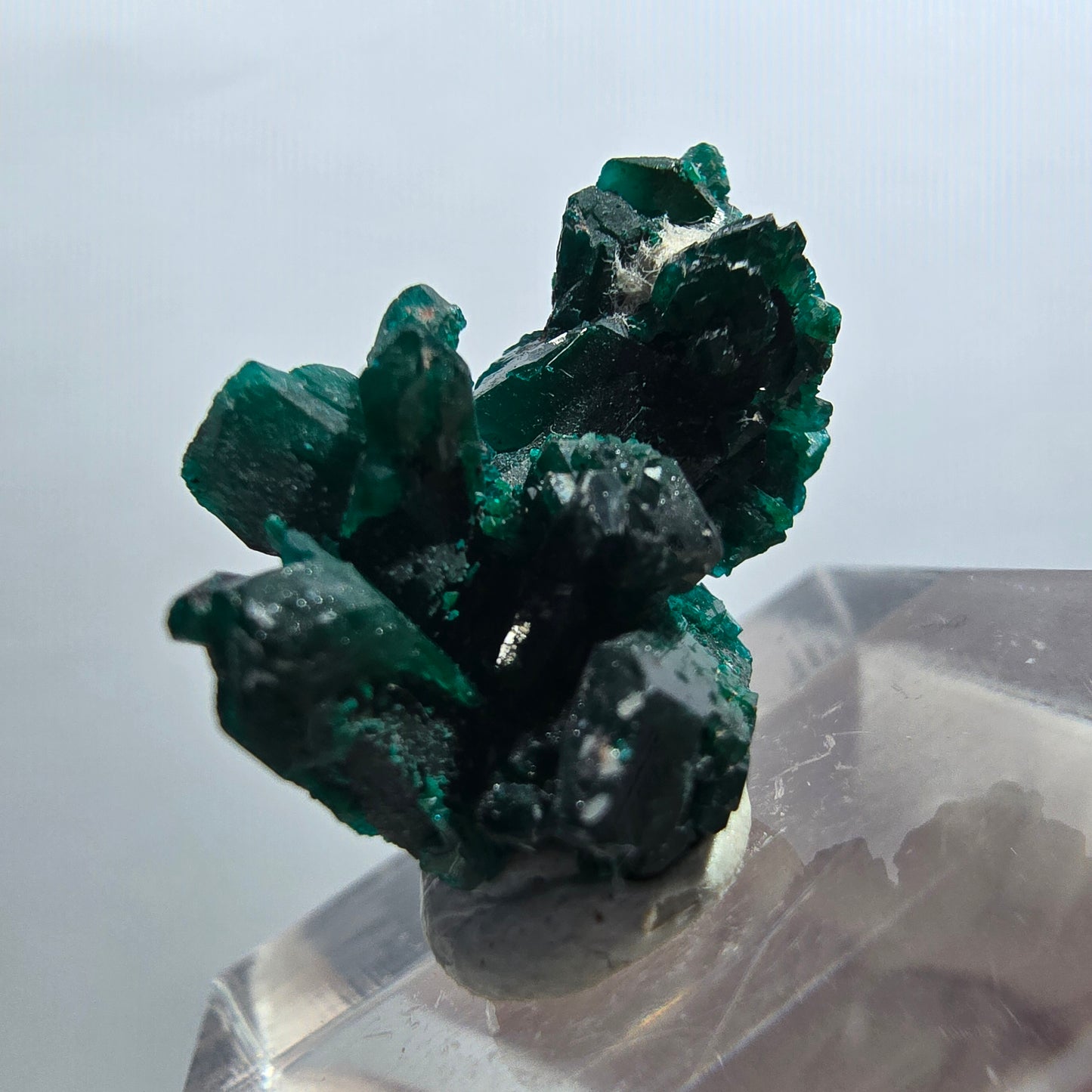 Seltene Dioptas XX Stufe, grün Republik Kongo 22*15*14mm