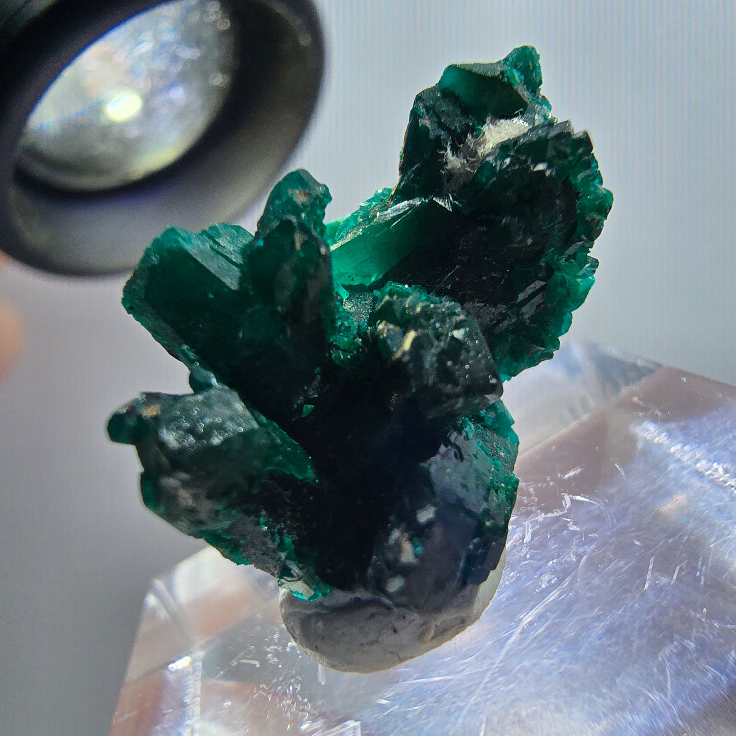 Seltene Dioptas XX Stufe, grün Republik Kongo 22*15*14mm