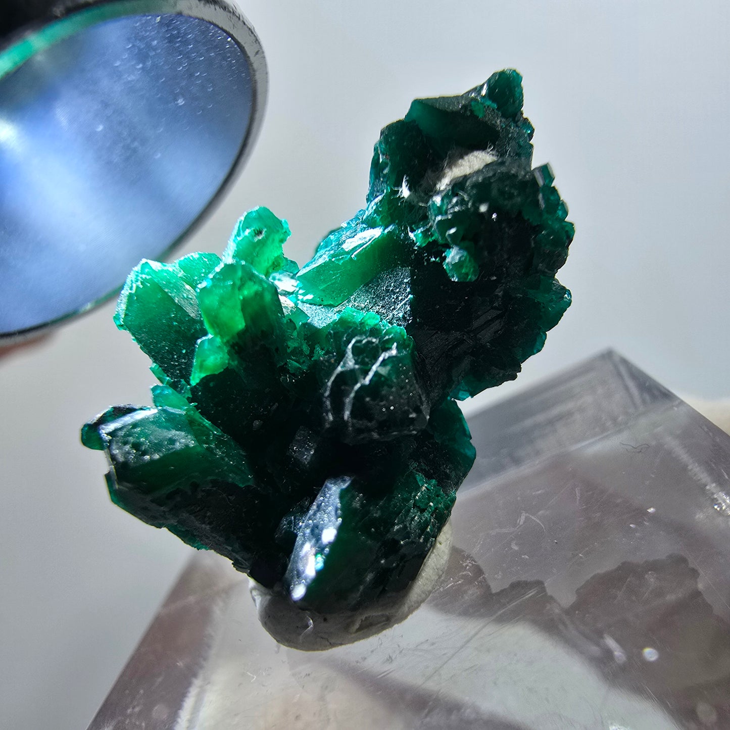 Seltene Dioptas XX Stufe, grün Republik Kongo 22*15*14mm