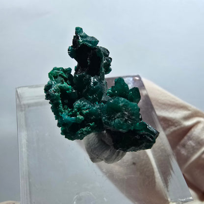 Seltene Dioptas XX Stufe, grün Republik Kongo 22*15*14mm