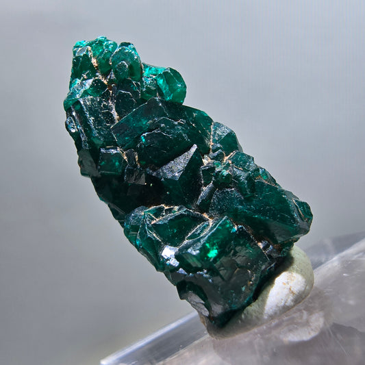 Seltene Dioptas XX Stufe, grün Republik Kongo 24*11*8mm