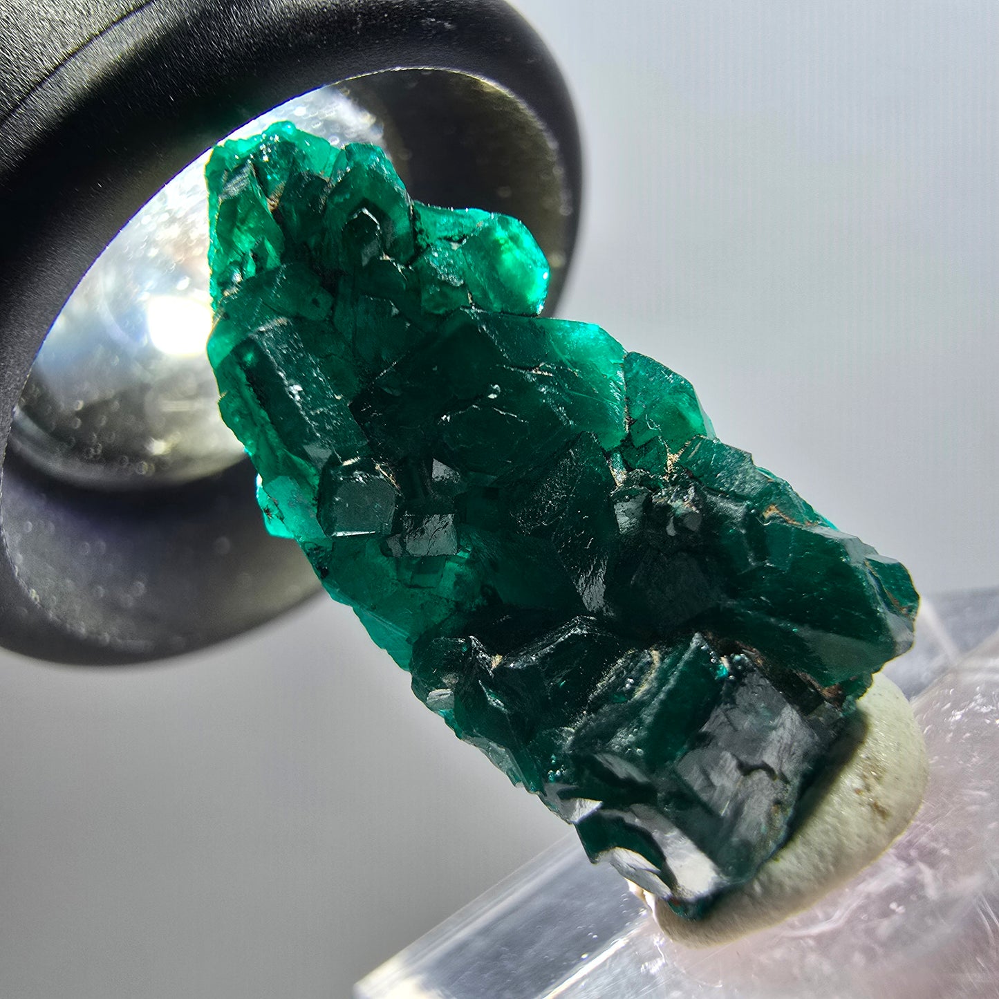 Seltene Dioptas XX Stufe, grün Republik Kongo 24*11*8mm