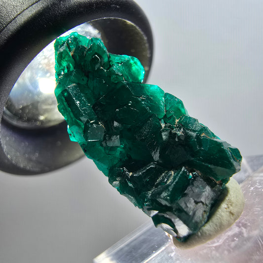 Seltene Dioptas XX Stufe, grün Republik Kongo 24*11*8mm