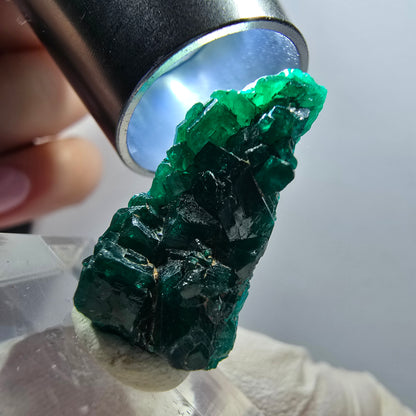 Seltene Dioptas XX Stufe, grün Republik Kongo 24*11*8mm