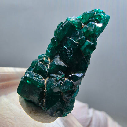 Seltene Dioptas XX Stufe, grün Republik Kongo 24*11*8mm