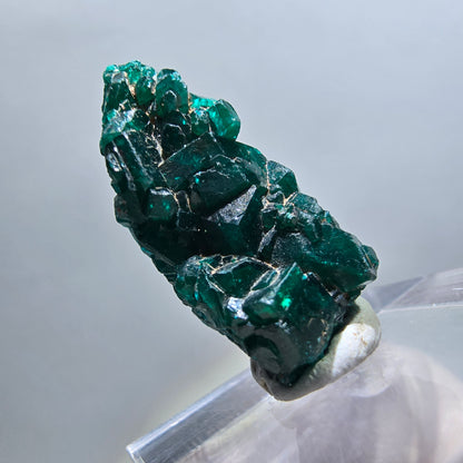 Seltene Dioptas XX Stufe, grün Republik Kongo 24*11*8mm