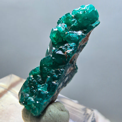 Seltene Dioptas XX Stufe, grün Republik Kongo 24*11*8mm