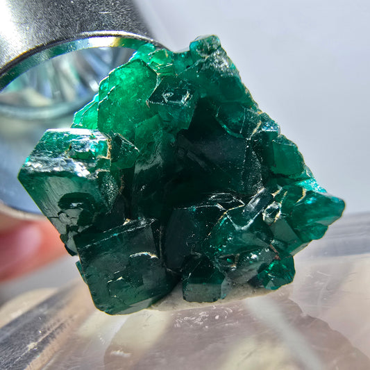 Seltene Dioptas XX Stufe, grün Republik Kongo 20*18*10mm