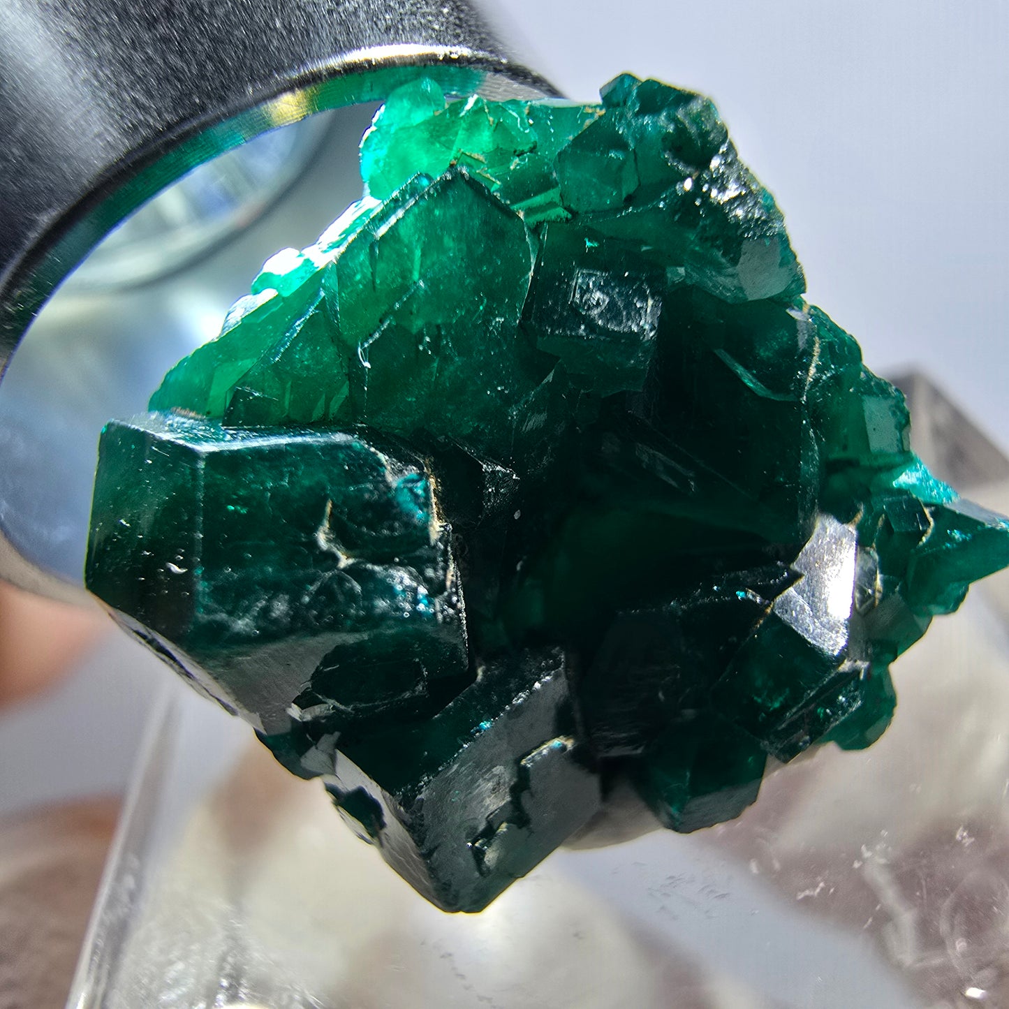 Seltene Dioptas XX Stufe, grün Republik Kongo 20*18*10mm