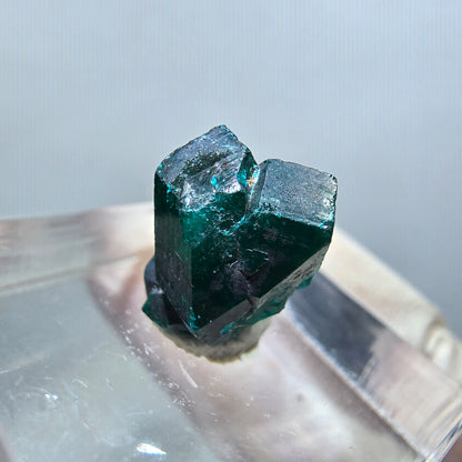 Seltene Dioptas XX Stufe, grün Republik Kongo 14*9*7mm