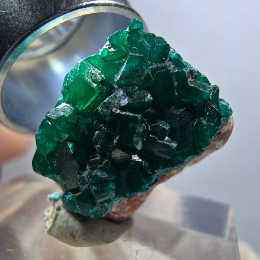 Seltene Dioptas auf Matrix Stufe, grün Republik Kongo 17*12*12mm