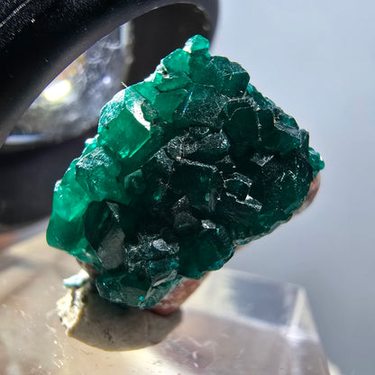 Seltene Dioptas auf Matrix Stufe, grün Republik Kongo 17*12*12mm