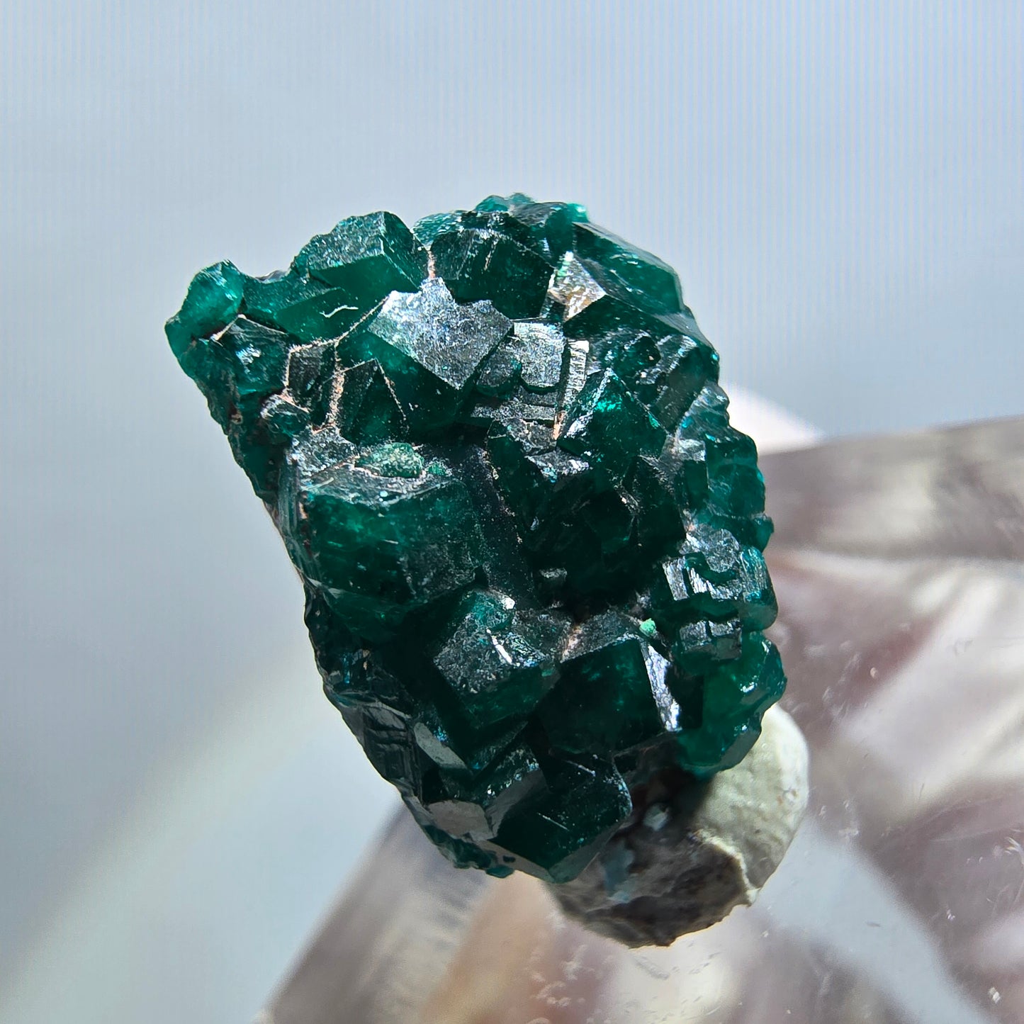 Seltene Dioptas auf Matrix Stufe, grün Republik Kongo 17*12*12mm