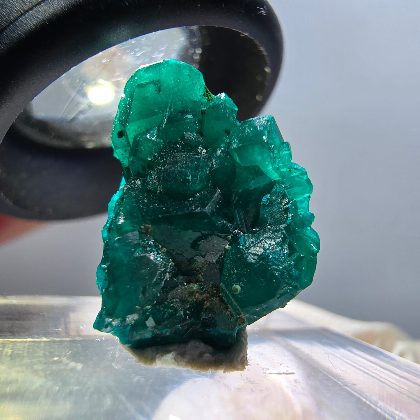 Seltene Dioptas XX Stufe, grün Republik Kongo 17*15*7mm