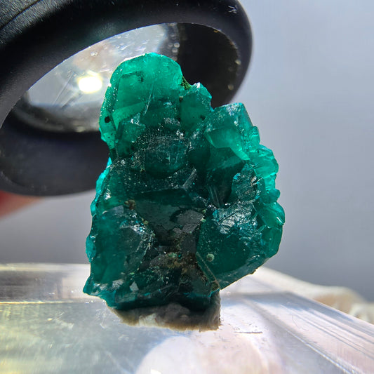 Seltene Dioptas XX Stufe, grün Republik Kongo 17*15*7mm