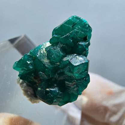 Seltene Dioptas XX Stufe, grün Republik Kongo 17*15*7mm