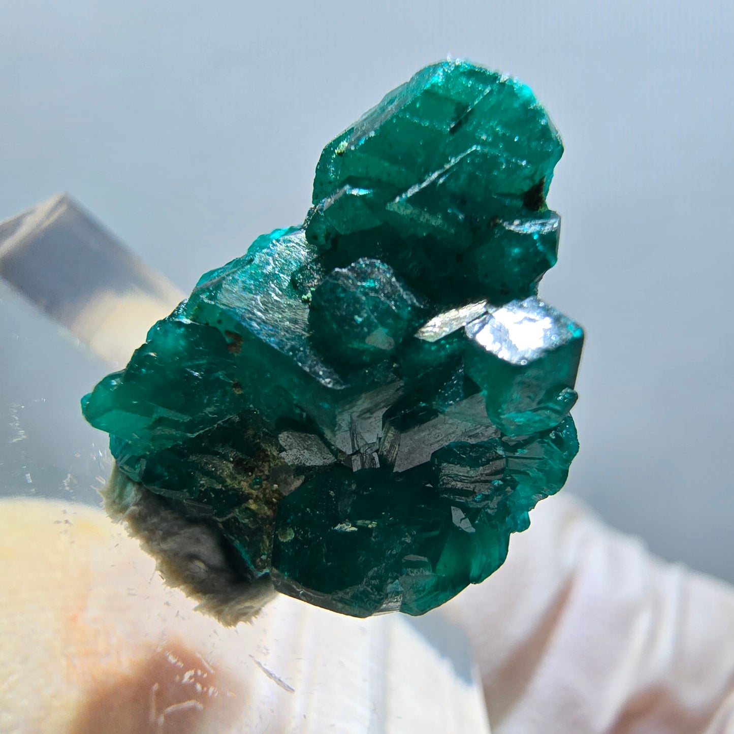 Seltene Dioptas XX Stufe, grün Republik Kongo 17*15*7mm