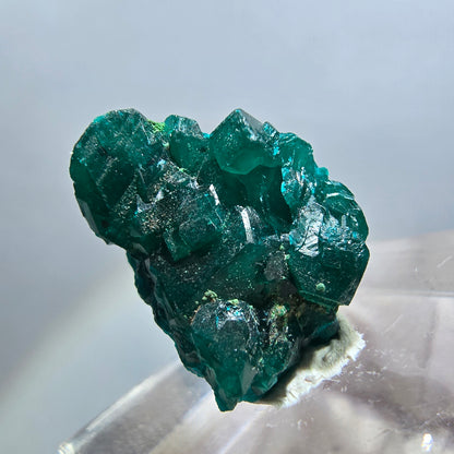 Seltene Dioptas XX Stufe, grün Republik Kongo 17*15*7mm