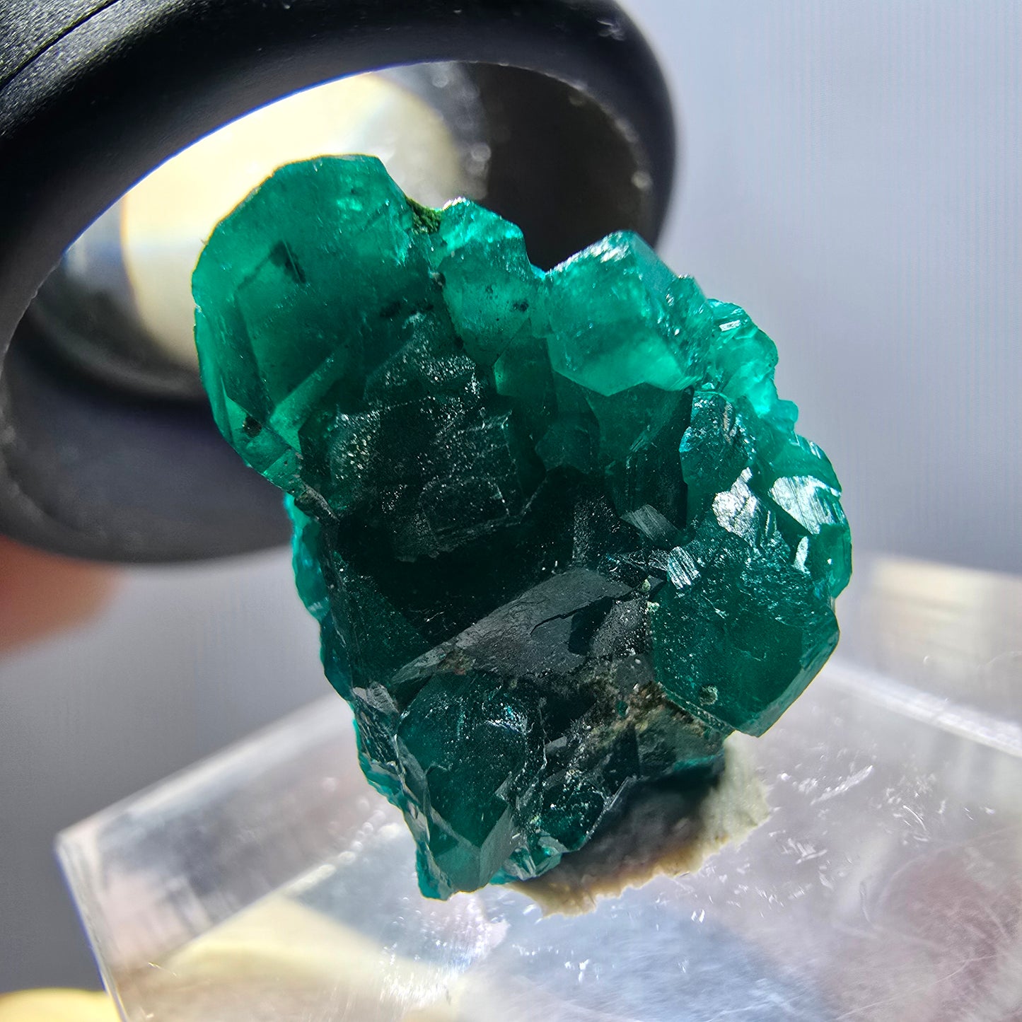 Seltene Dioptas XX Stufe, grün Republik Kongo 17*15*7mm