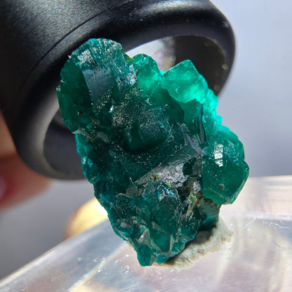 Seltene Dioptas XX Stufe, grün Republik Kongo 17*15*7mm