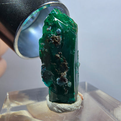 Seltene Dioptas X Kristall, grün Republik Kongo 23*9*9mm