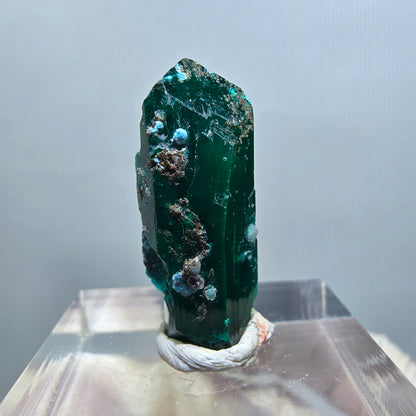 Seltene Dioptas X Kristall, grün Republik Kongo 23*9*9mm