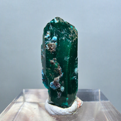 Seltene Dioptas X Kristall, grün Republik Kongo 23*9*9mm