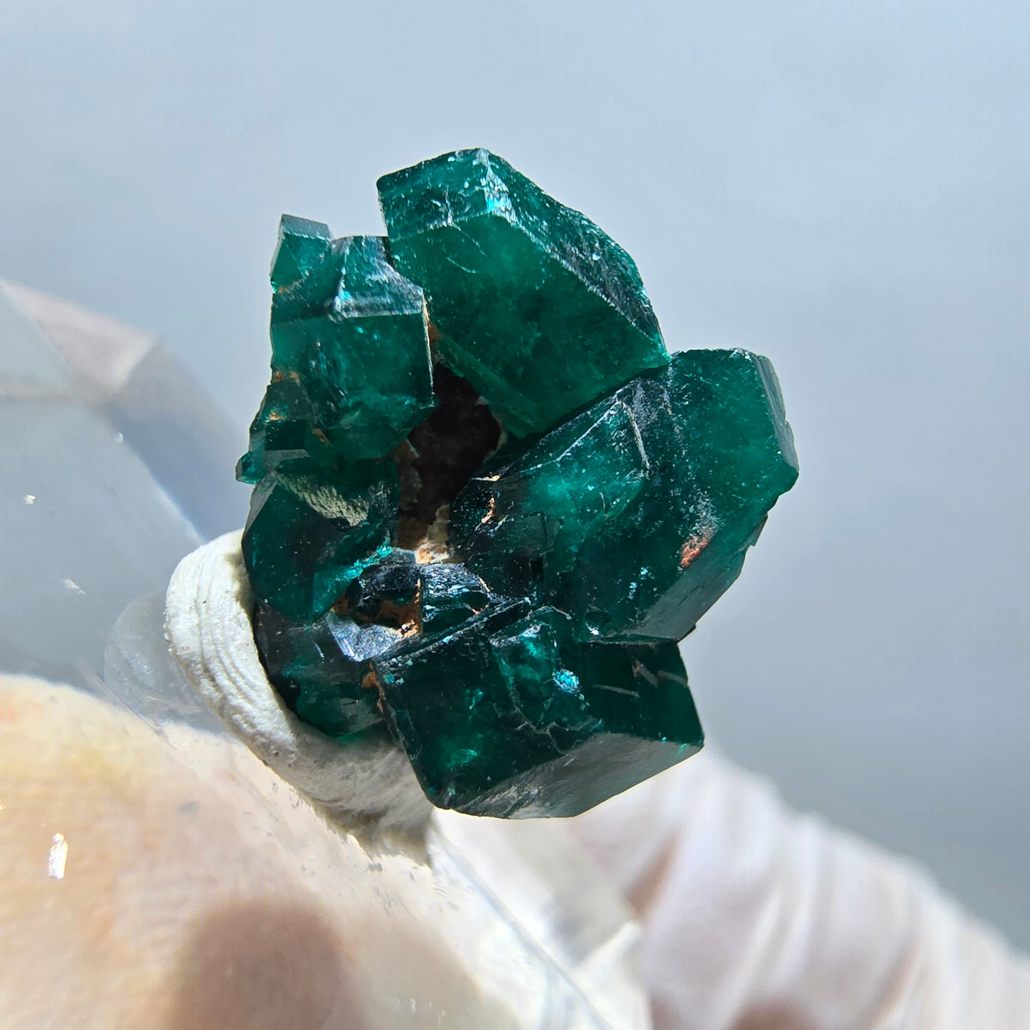 Seltene Dioptas XX Stufe, grün Republik Kongo 15*14*8mm