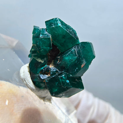 Seltene Dioptas XX Stufe, grün Republik Kongo 15*14*8mm