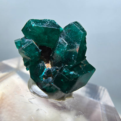 Seltene Dioptas XX Stufe, grün Republik Kongo 15*14*8mm