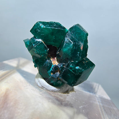 Seltene Dioptas XX Stufe, grün Republik Kongo 15*14*8mm