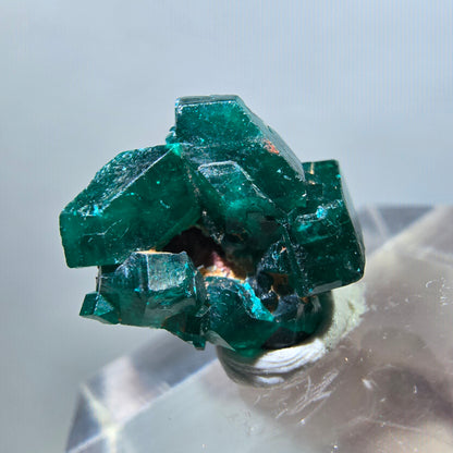 Seltene Dioptas XX Stufe, grün Republik Kongo 15*14*8mm