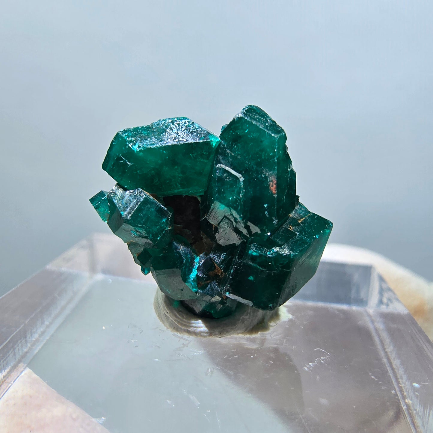 Seltene Dioptas XX Stufe, grün Republik Kongo 15*14*8mm